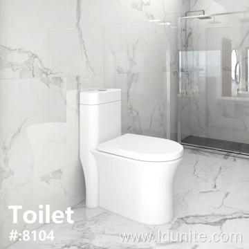 Sanitary Ware One-Piece Bathroom S-Trap Toilet for Adult